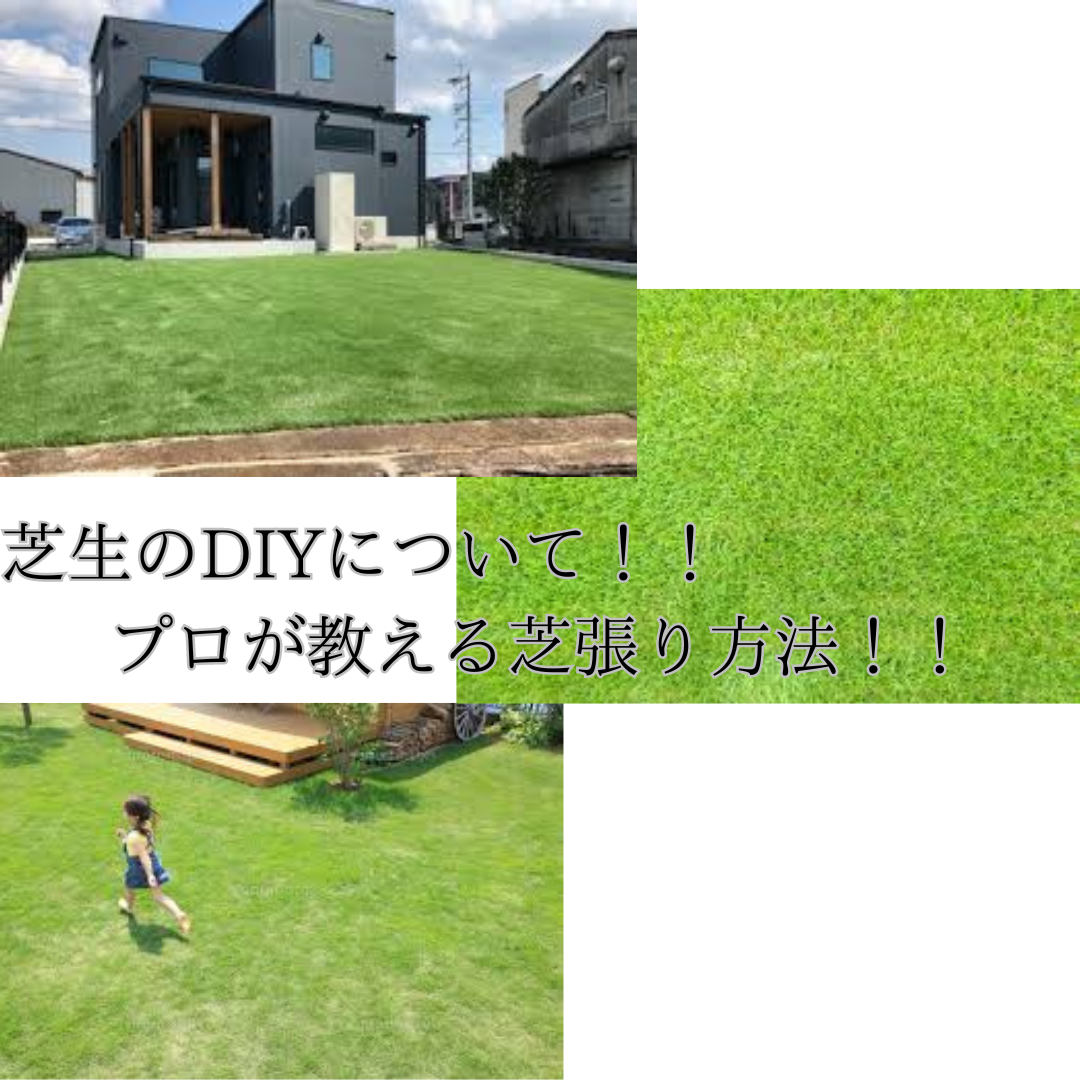 芝生のDIYについて！！プロが教える芝張り方法！！